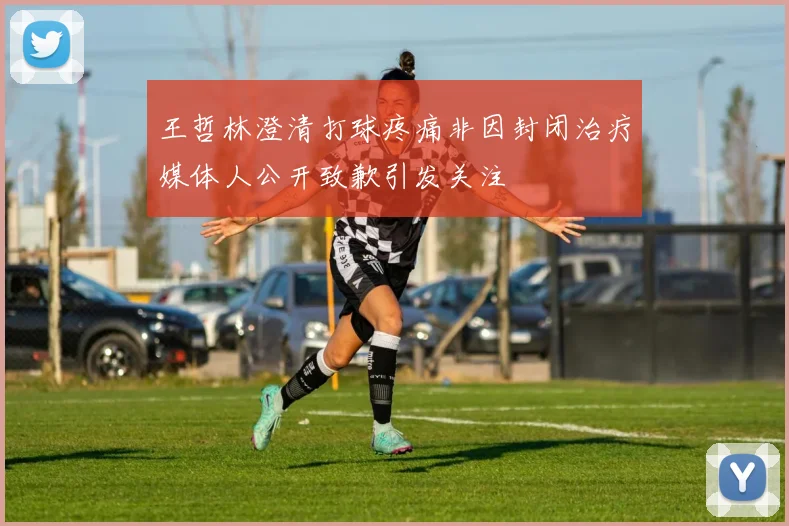 王哲林澄清打球疼痛非因封闭治疗媒体人公开致歉引发关注