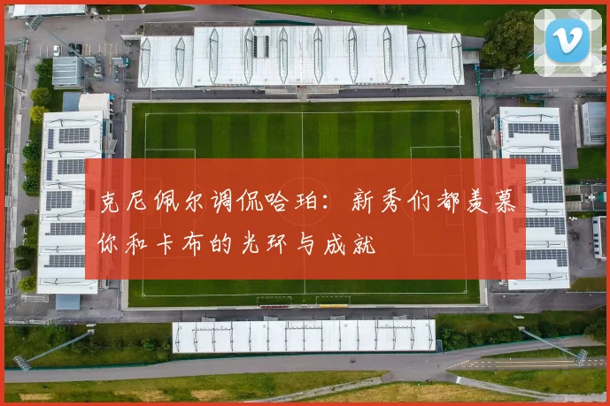 克尼佩尔调侃哈珀：新秀们都羡慕你和卡布的光环与成就