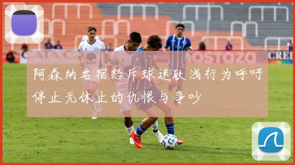 阿森纳名宿怒斥球迷肤浅行为呼吁停止无休止的仇恨与争吵